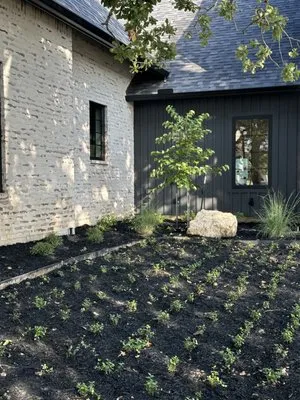 Regrowth Lawn Care & Landscaping