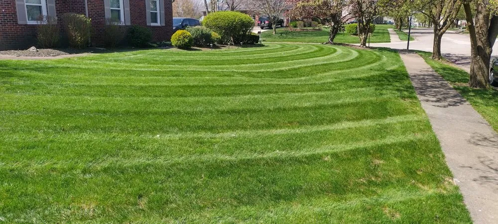 Affordable landscape installation for outdoor upgrades in Mooresville, IN by Regulators and Lawn Care and Landscape