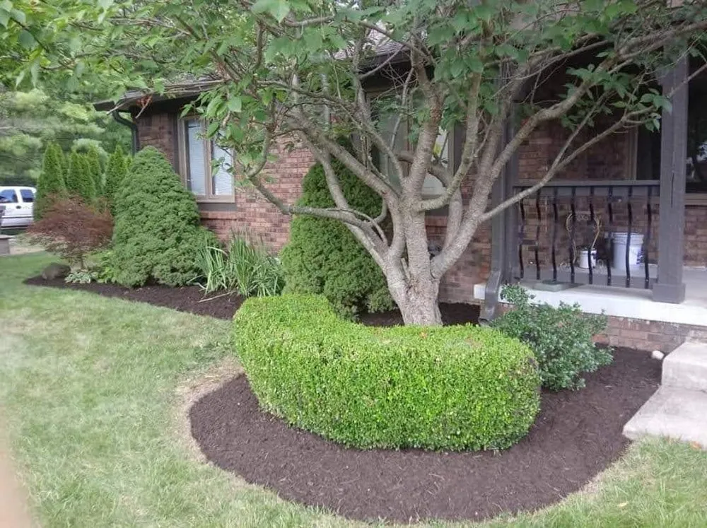 Reliable yard cleanup service for beautiful yards across Mooresville, IN - Regulators and Lawn Care and Landscape