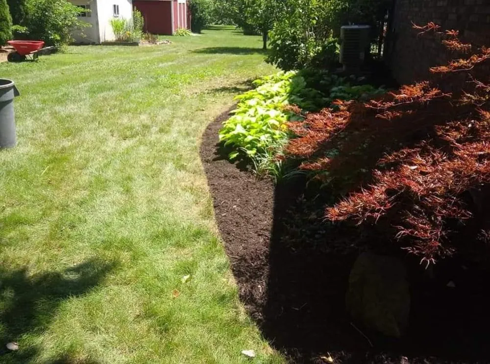 Expert yard maintenance in Mooresville, IN by Regulators and Lawn Care and Landscape