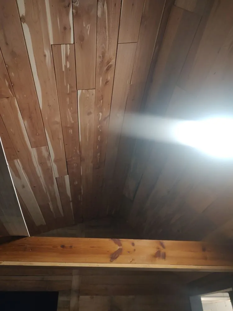 Trusted outdoor landscaping in Mayo, FL - Rehberg Irrigation & Landscape