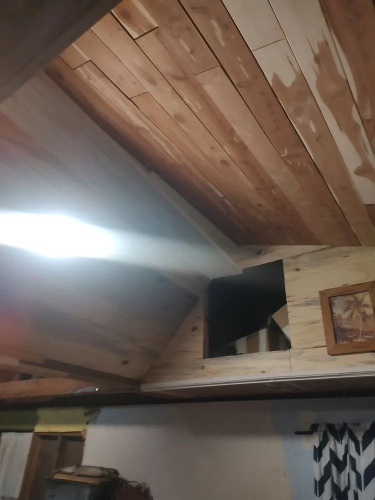 Top-rated landscape design in Mayo, FL - Rehberg Irrigation & Landscape