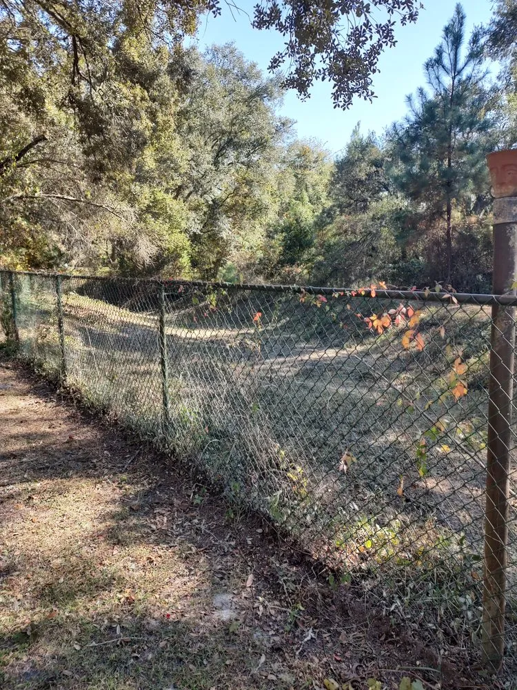 Custom landscape design for homes across Mayo, FL - Rehberg Irrigation & Landscape