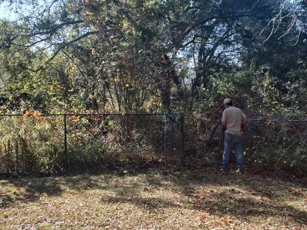 Custom yard maintenance near you in Mayo, FL by Rehberg Irrigation & Landscape