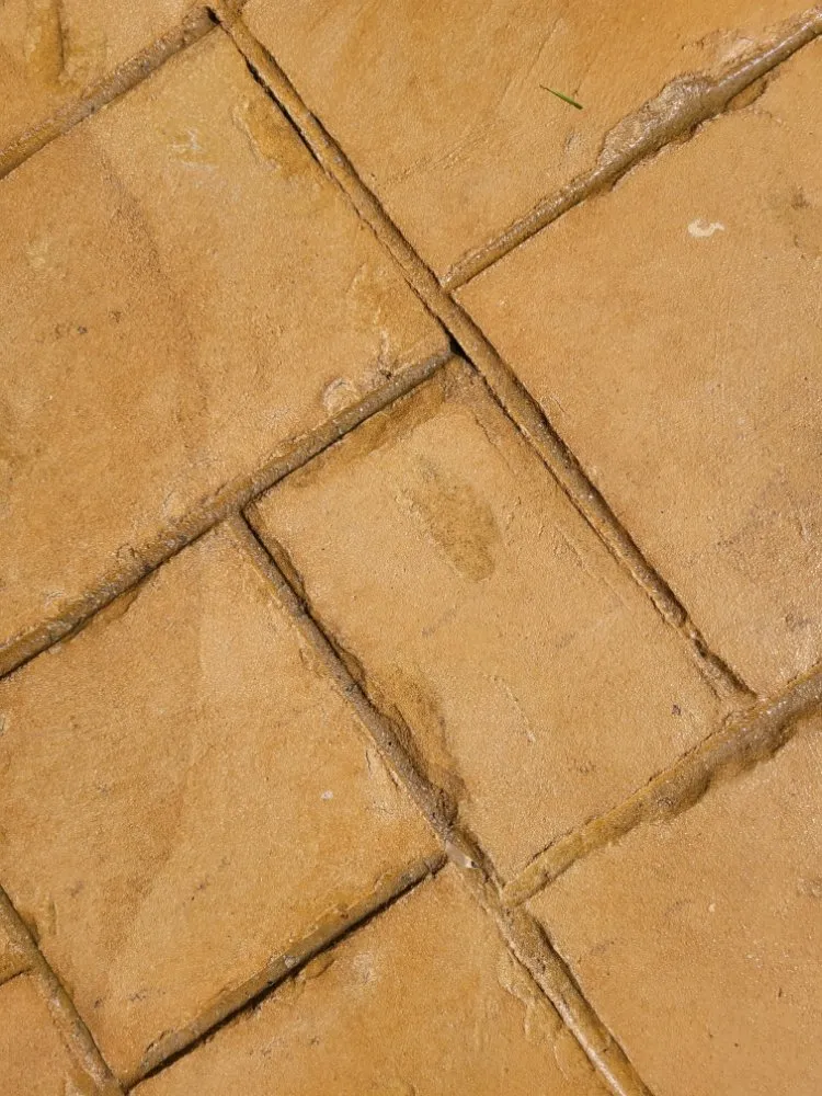 Trusted yard cleanup service in Toms River, NJ - RehlEarthworks and Handyman Service