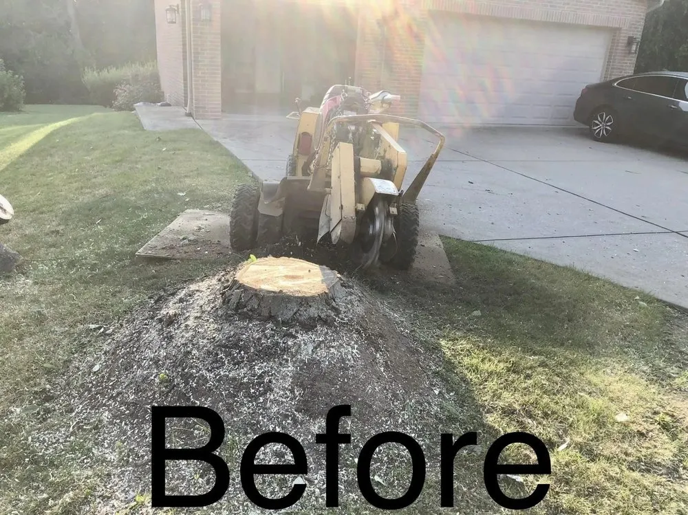 Custom landscape design for homes in Butler, PA by Reich Landscaping