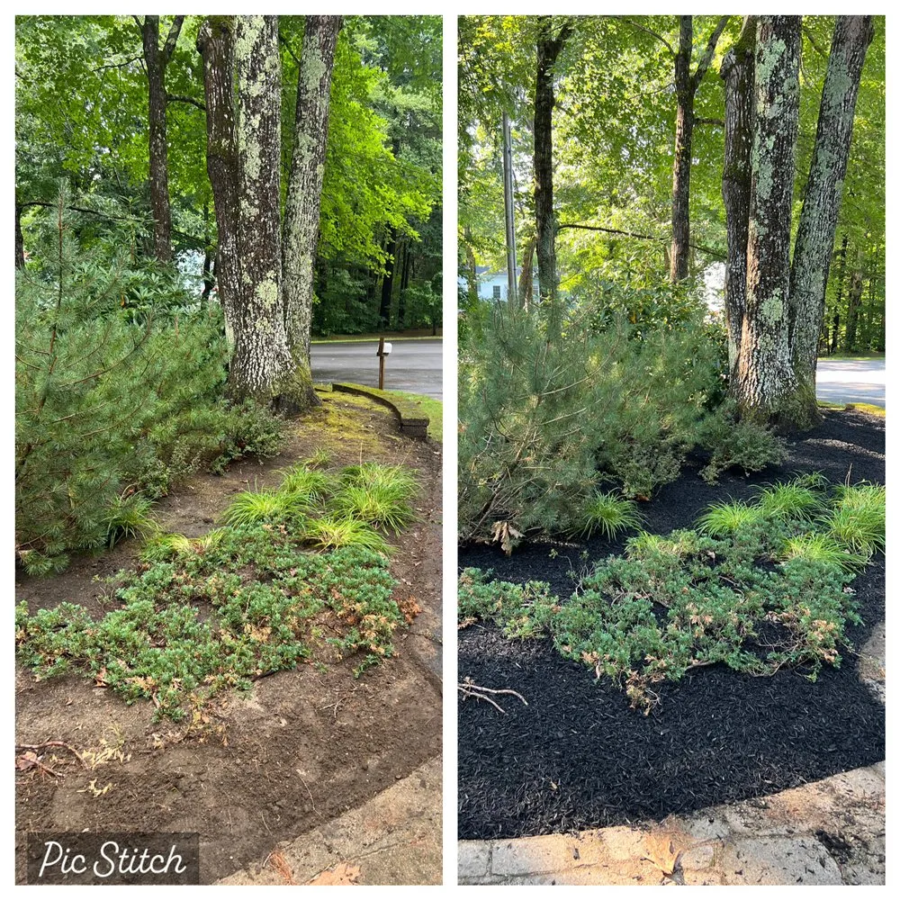 Affordable yard cleanup service experts serving Saco, ME - Reichen’s Lawn Maintenance