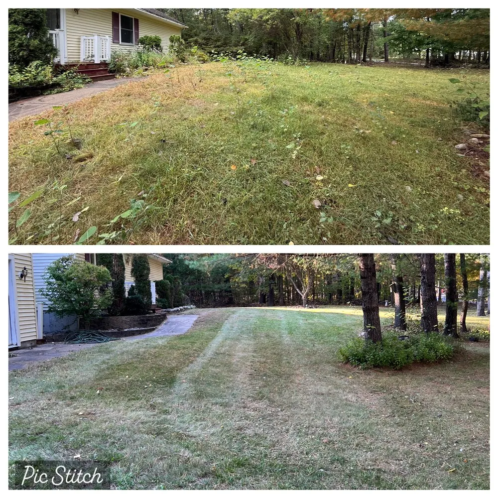 Local yard cleanup service in Saco, ME - Reichen’s Lawn Maintenance