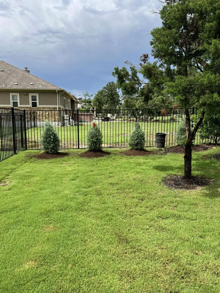 Custom lawn care service for beautiful yards in Cedar Park, TX by Reidco Service Company