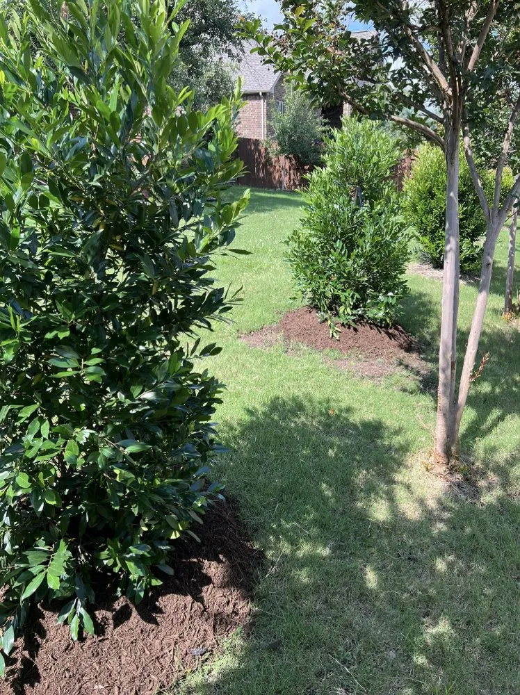 Top-rated lawn care service for residential properties across Cedar Park, TX - Reidco Service Company