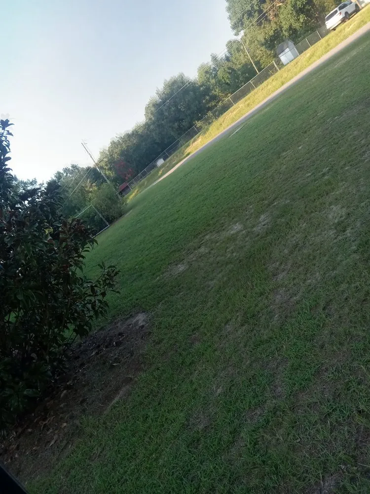 Custom yard maintenance for outdoor upgrades across Augusta, GA - Reids Landscaping & Design