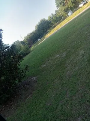 Reids Landscaping & Design Logo