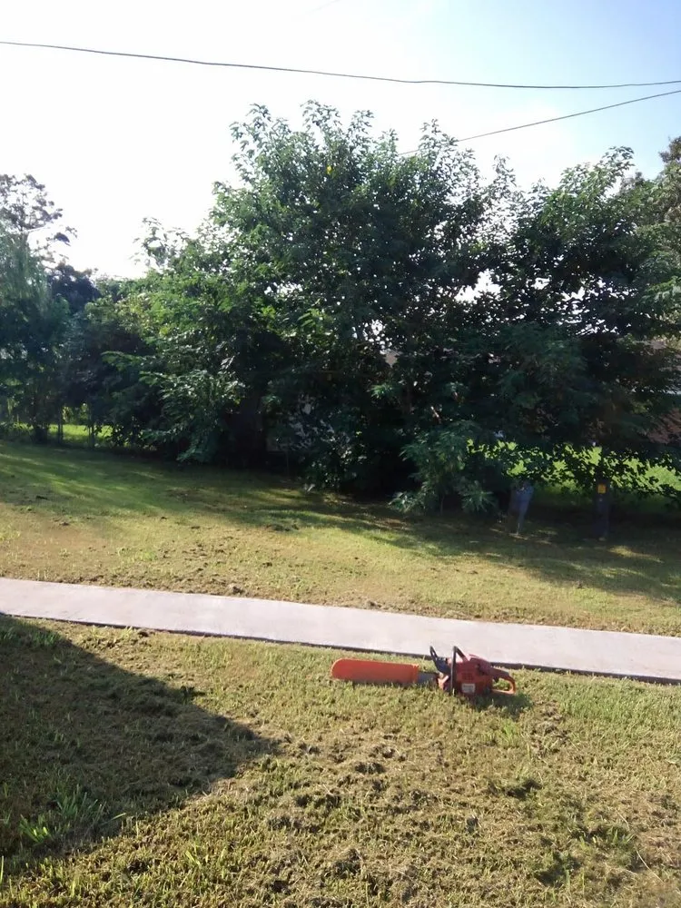 Local landscape installation experts serving Vidalia, LA - Reid’s Lawn Service