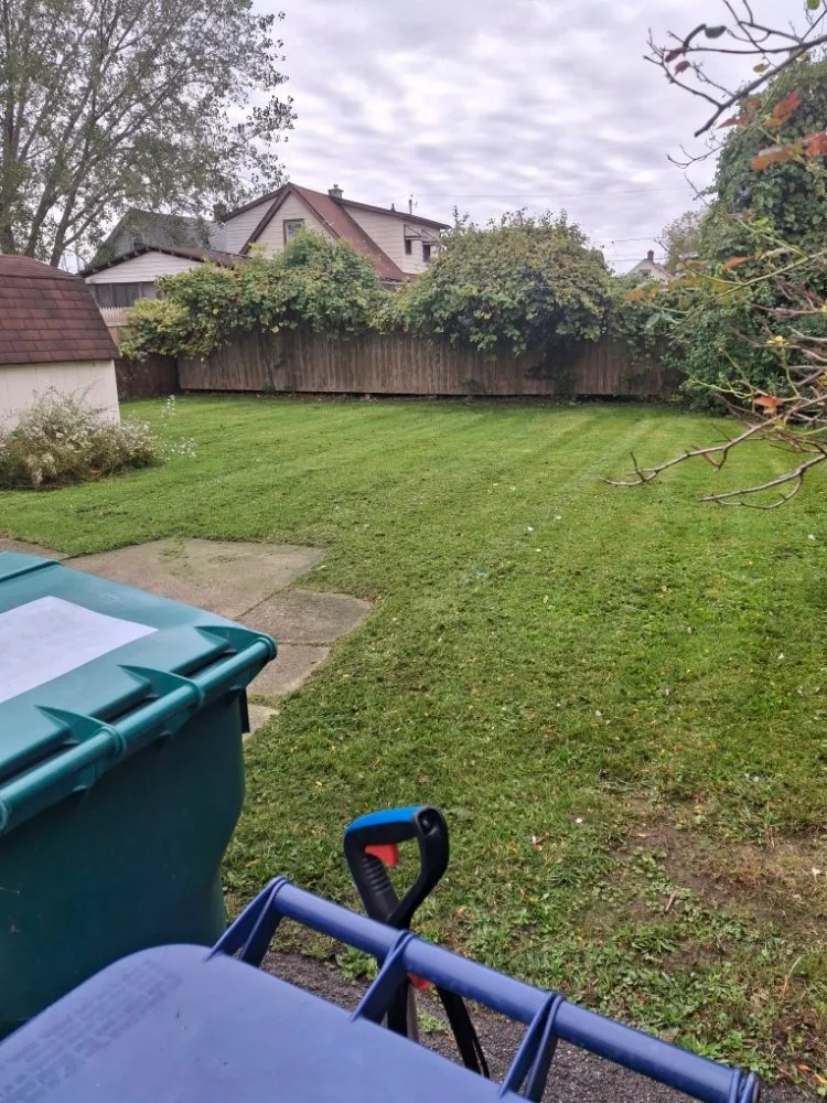 Custom lawn mowing service experts serving Niagara Falls, NY - Reid's Lawncare