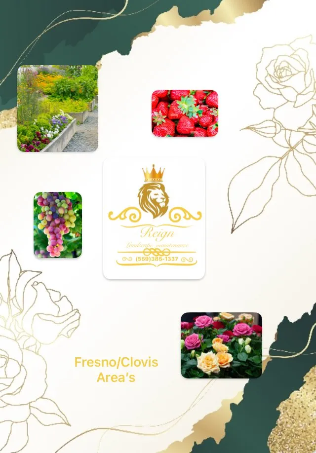 Custom garden landscaping in Fresno, CA by Reign Landscaping maintenance