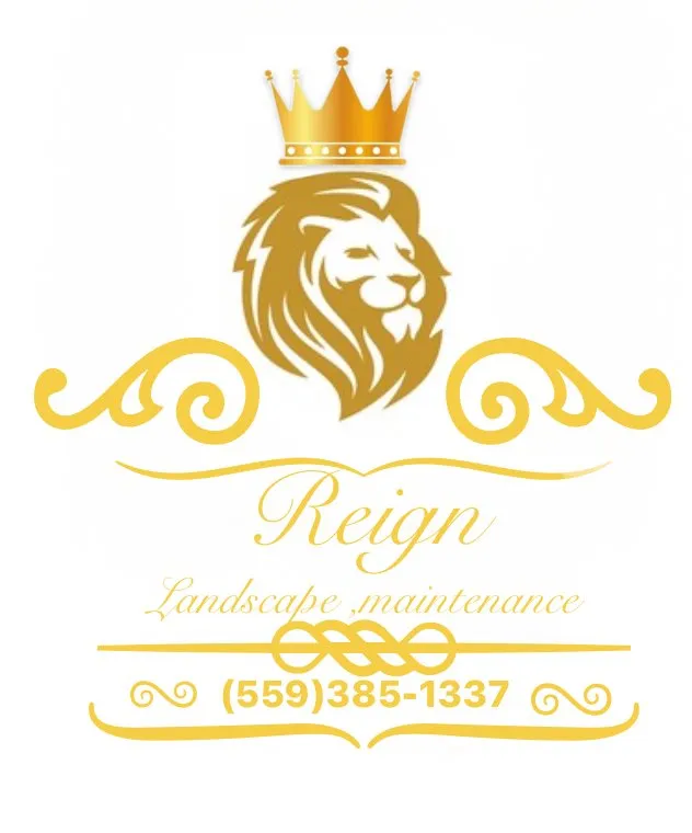 Local lawn mowing service in Fresno, CA by Reign Landscaping maintenance