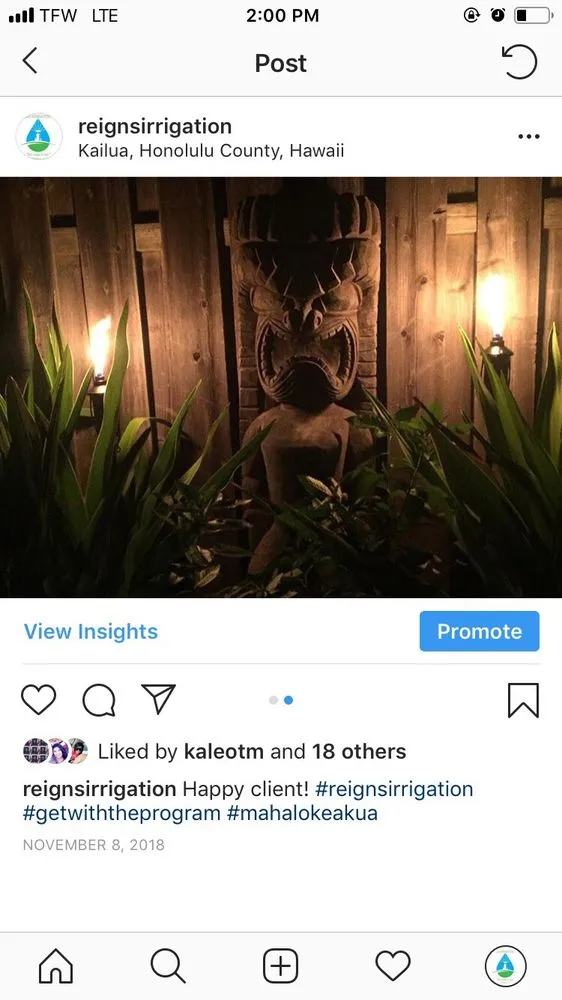 Affordable yard cleanup service for year-round maintenance across Honolulu, HI - Reigns Irrigation