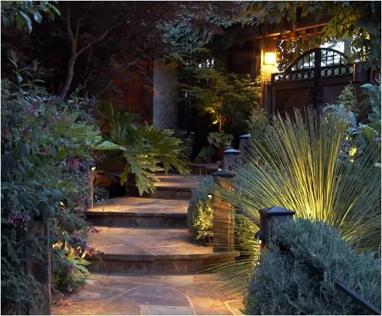 Custom outdoor landscaping in San Rafael, CA - Reilly Designs