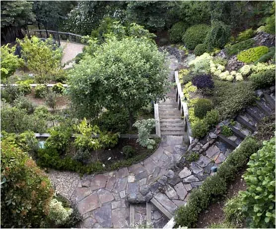 Reliable residential landscaping for outdoor upgrades across San Rafael, CA - Reilly Designs