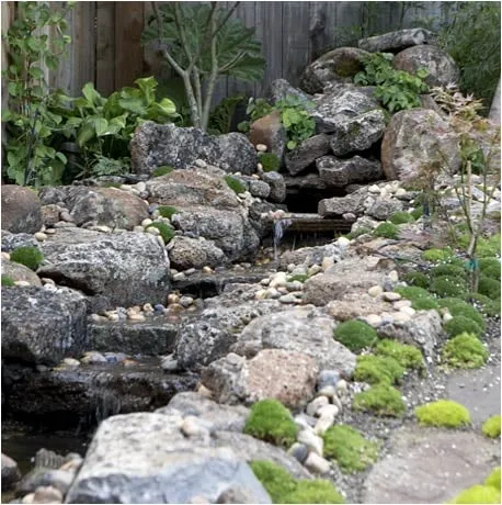 Professional landscape installation for year-round maintenance in San Rafael, CA by Reilly Designs