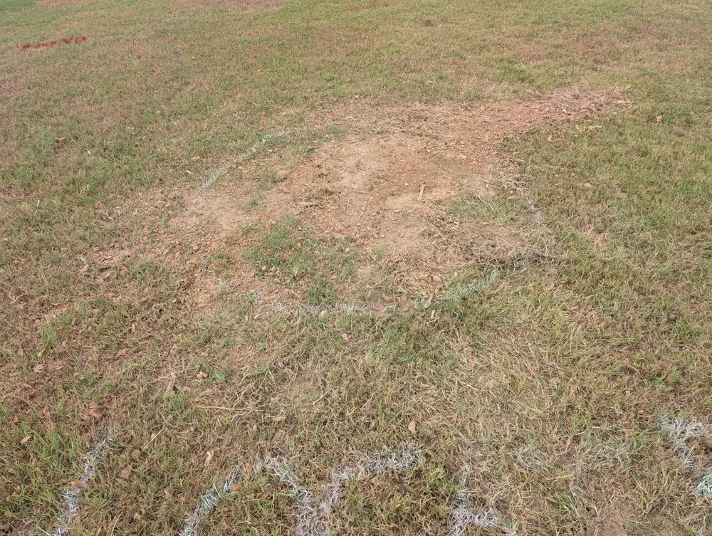 Expert yard cleanup service in Sulphur Springs, TX - Reilly Springs Land Enhancement