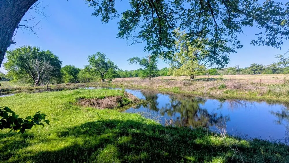Affordable lawn mowing service in Sulphur Springs, TX - Reilly Springs Land Enhancement
