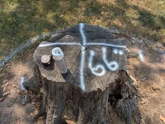 Reilly Springs Land Enhancement Logo