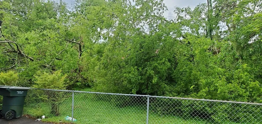 Custom yard maintenance for beautiful yards in Hermitage, TN by Reilly's Lawn Care