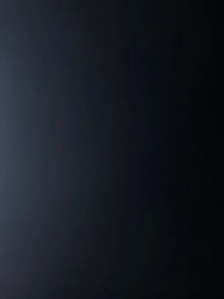 Trusted yard cleanup service for homes across Hermitage, TN - Reilly's Lawn Care