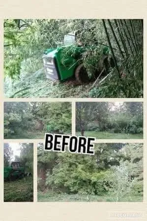 Expert landscaping services with custom design across Hermitage, TN - Reilly's Lawn Care