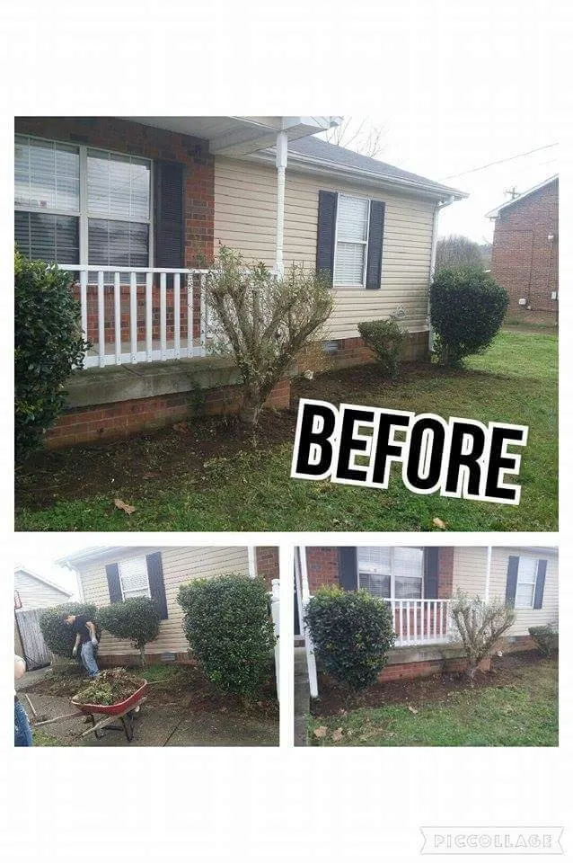 Top-rated lawn care service in Hermitage, TN - Reilly's Lawn Care