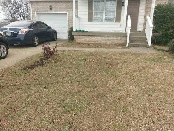 Professional landscape installation near you across Orlinda, TN - Reilly's Tree Service