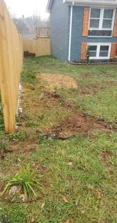 Professional lawn mowing service in Orlinda, TN - Reilly's Tree Service