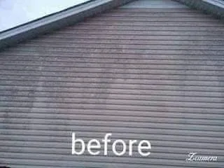 Top-rated yard cleanup service experts serving Orlinda, TN - Reilly's Tree Service