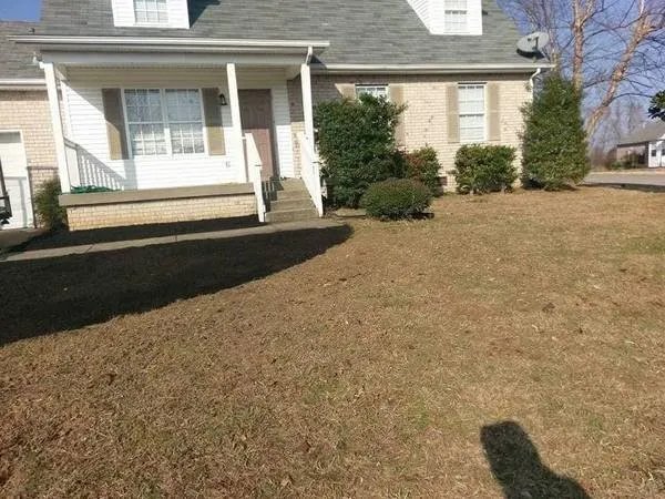 Affordable landscaping services experts serving Orlinda, TN - Reilly's Tree Service