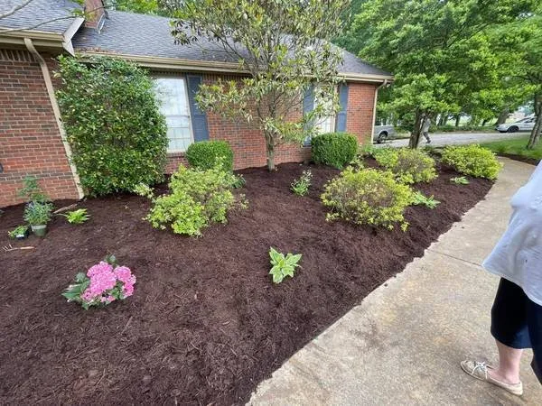Professional yard maintenance in Orlinda, TN - Reilly's Tree Service