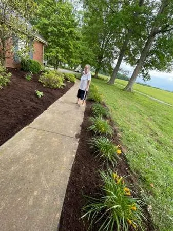 Top-rated landscape design near you across Orlinda, TN - Reilly's Tree Service