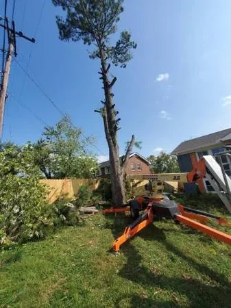 Expert landscaping services experts serving Orlinda, TN - Reilly's Tree Service