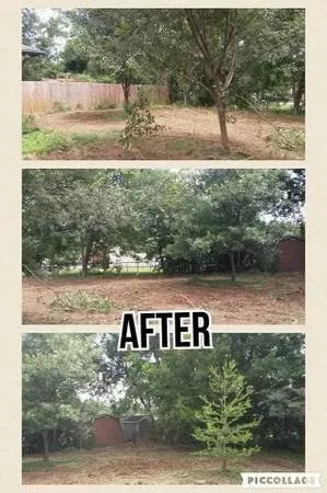 Affordable landscape installation experts serving Orlinda, TN - Reilly's Tree Service