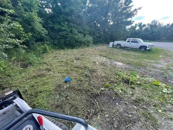 Trusted yard maintenance in Orlinda, TN by Reilly's Tree Service