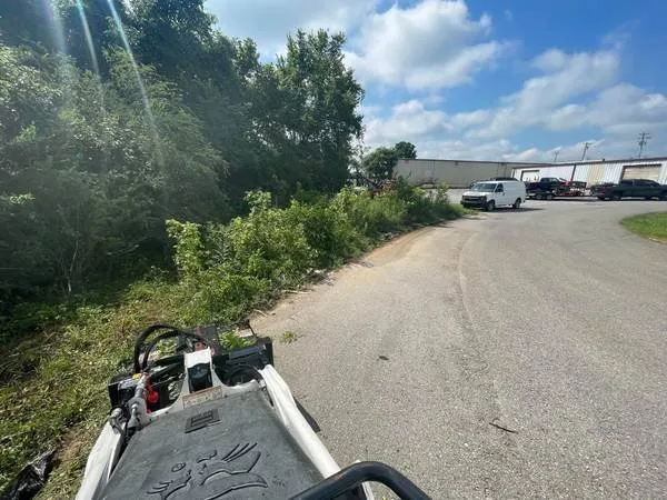 Affordable outdoor landscaping experts serving Orlinda, TN - Reilly's Tree Service