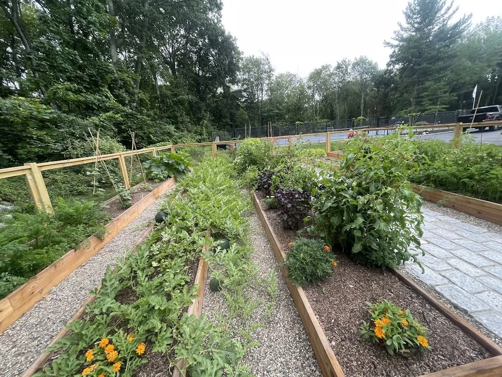 Expert outdoor landscaping in Worcester, MA by Reimagined Roots