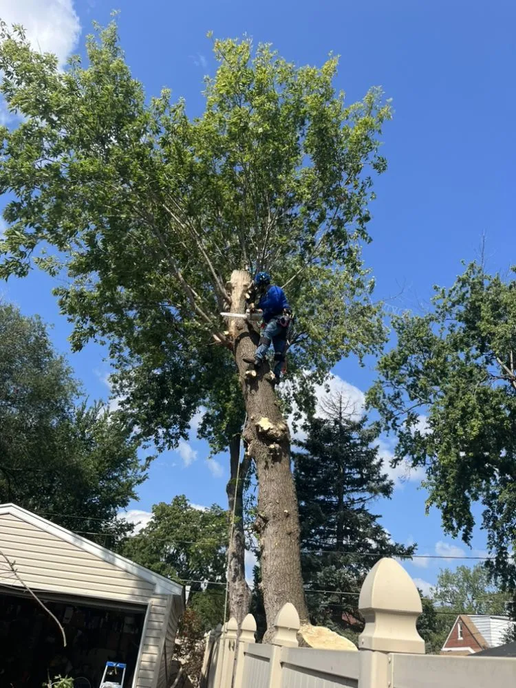 Affordable landscape installation for homes across Hillside, IL - Reinaldo Lawn service