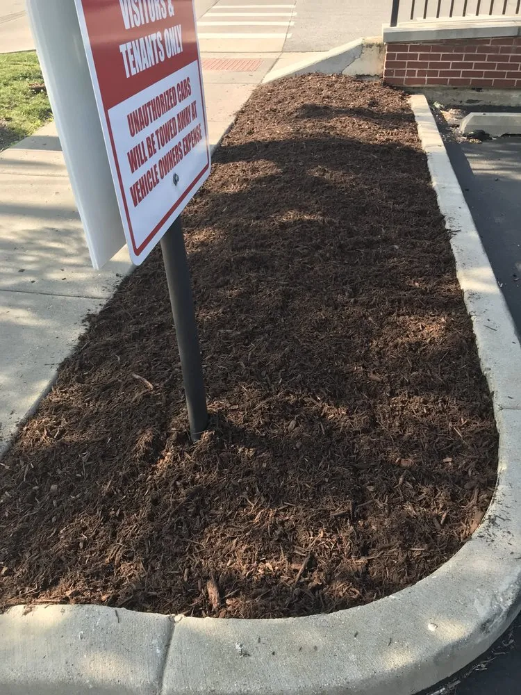 Local yard maintenance in Hillside, IL by Reinaldo Lawn service