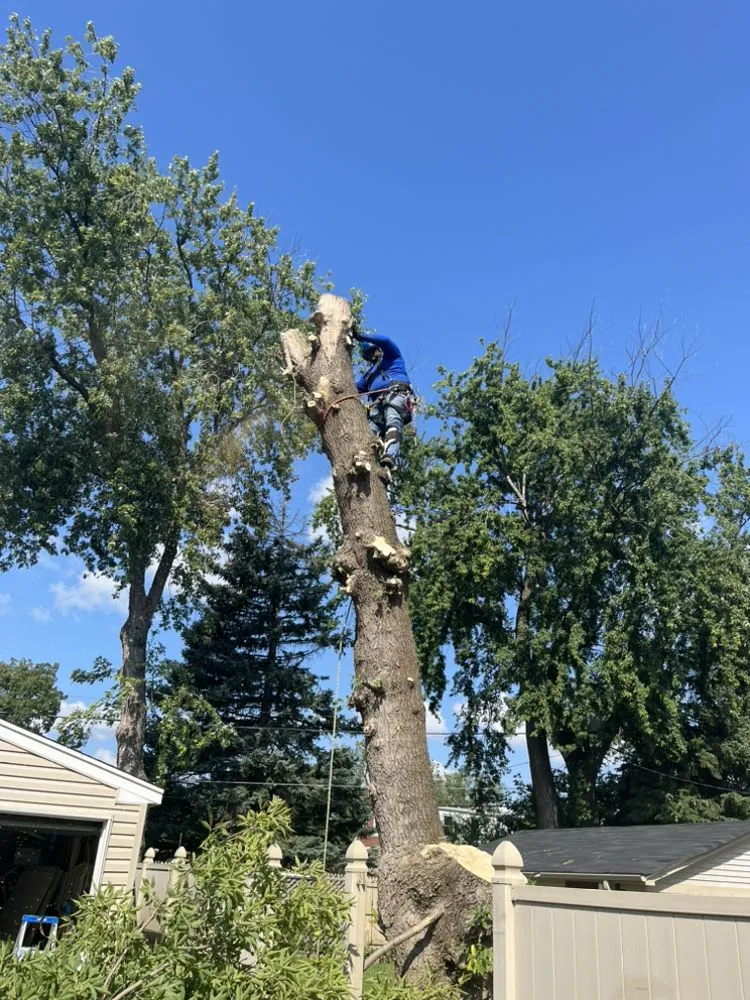 Reliable residential landscaping in Hillside, IL by Reinaldo Lawn service