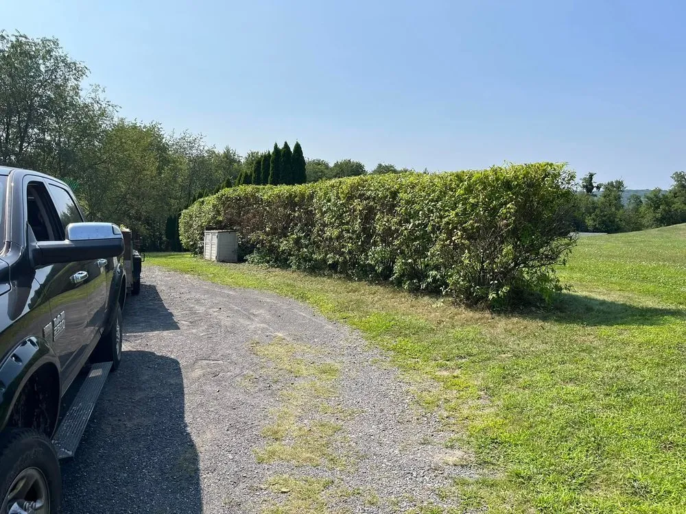 Reliable residential landscaping for outdoor upgrades across Northumberland, PA - Reinards Rehab Services