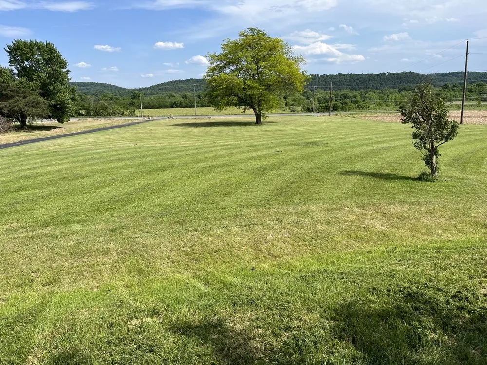 Custom landscaping services for outdoor upgrades in Northumberland, PA by Reinards Rehab Services