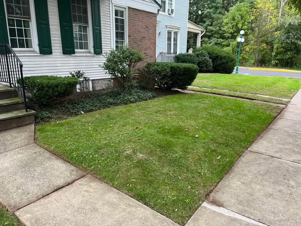 Trusted residential landscaping near you in Northumberland, PA by Reinards Rehab Services