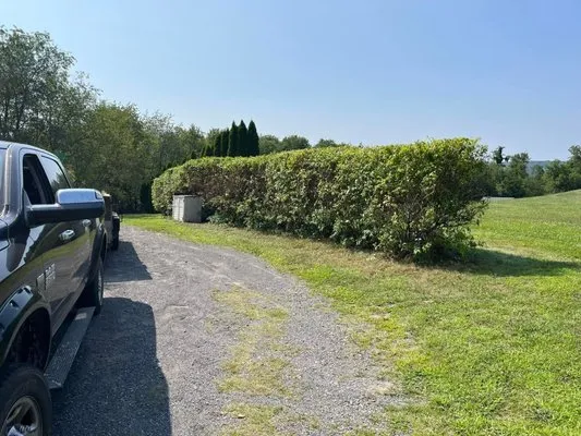 Reinards Rehab Services