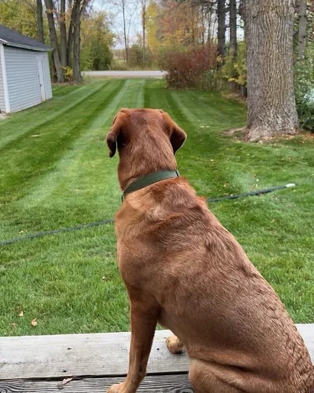 Top-rated landscape installation for outdoor upgrades in Little Suamico, WI by Reinhard's 4 Seasons